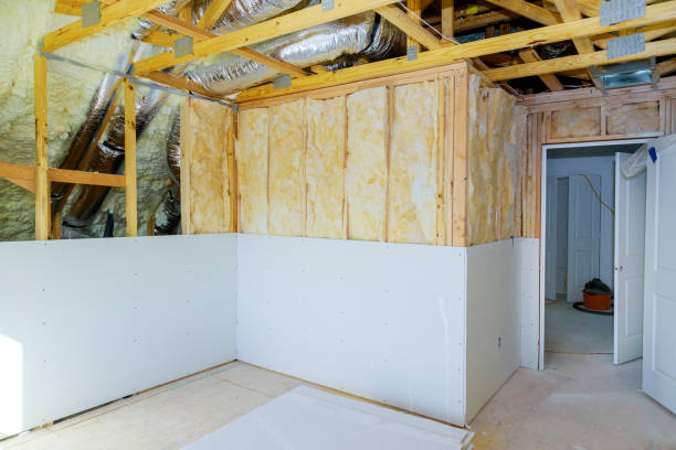 Best Eco-Friendly Insulation in Manhasset Hills, NY